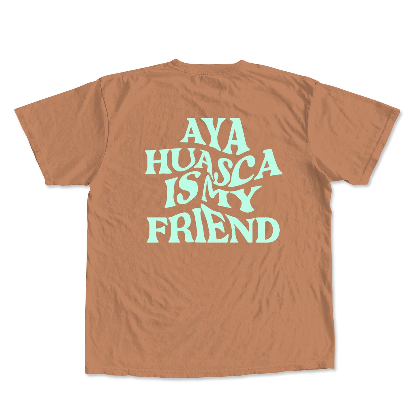 Unisex Premium Tee - Aya Is My Friend