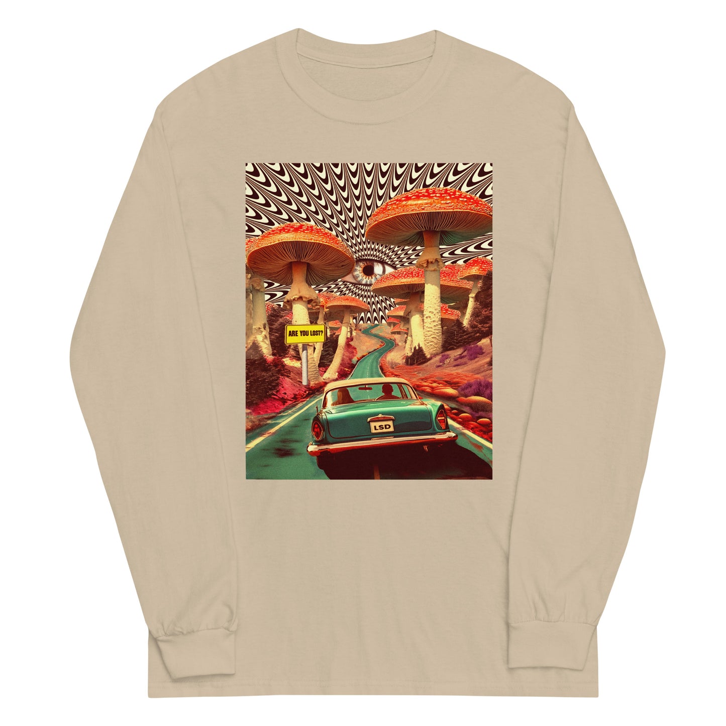 Are You Lost Graphic Long Sleeve Tee