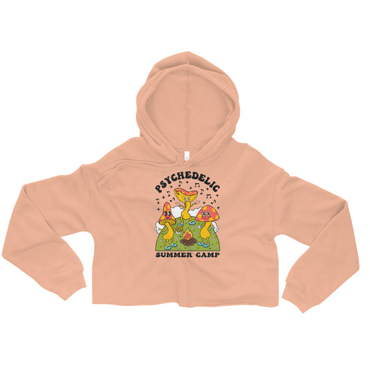 Psi~ Camp Graphic Crop Hoodie