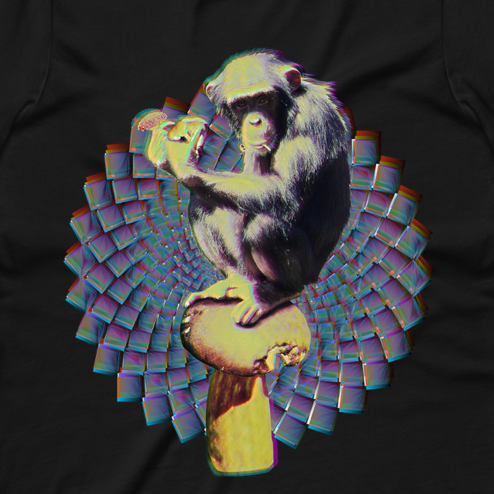 Psi~ Ape Graphic Sweatshirt