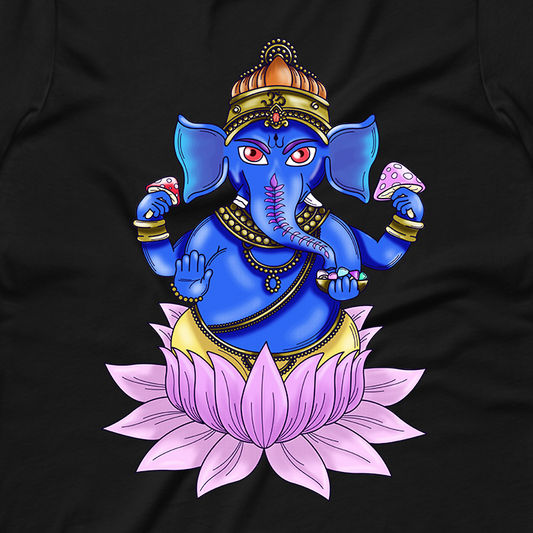 Ganesha Graphic Crop Tee