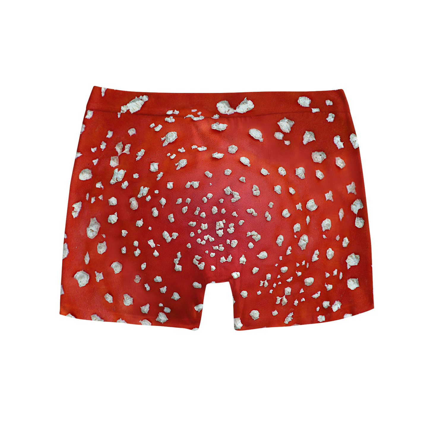 Fly Agaric - Amanita All Over Print Men's Boxer Brief