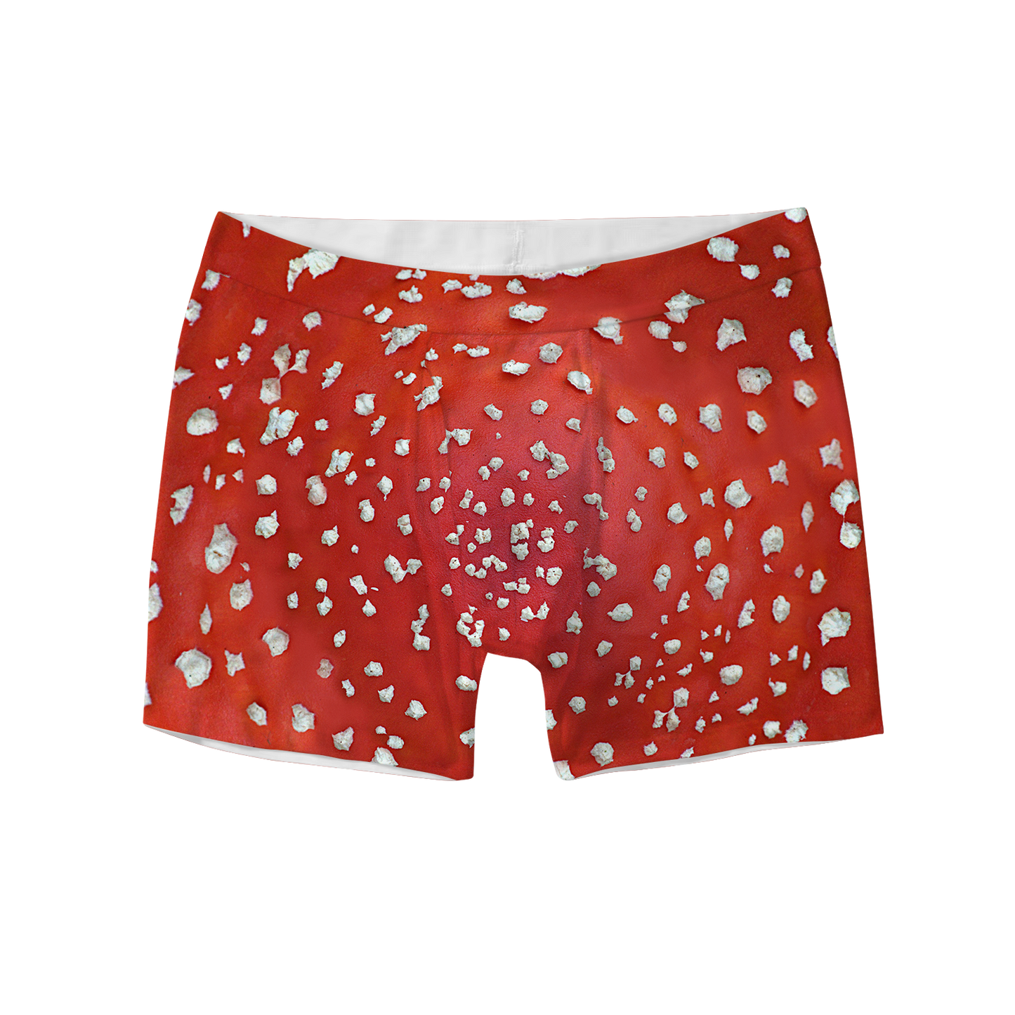 Fly Agaric - Amanita All Over Print Men's Boxer Brief