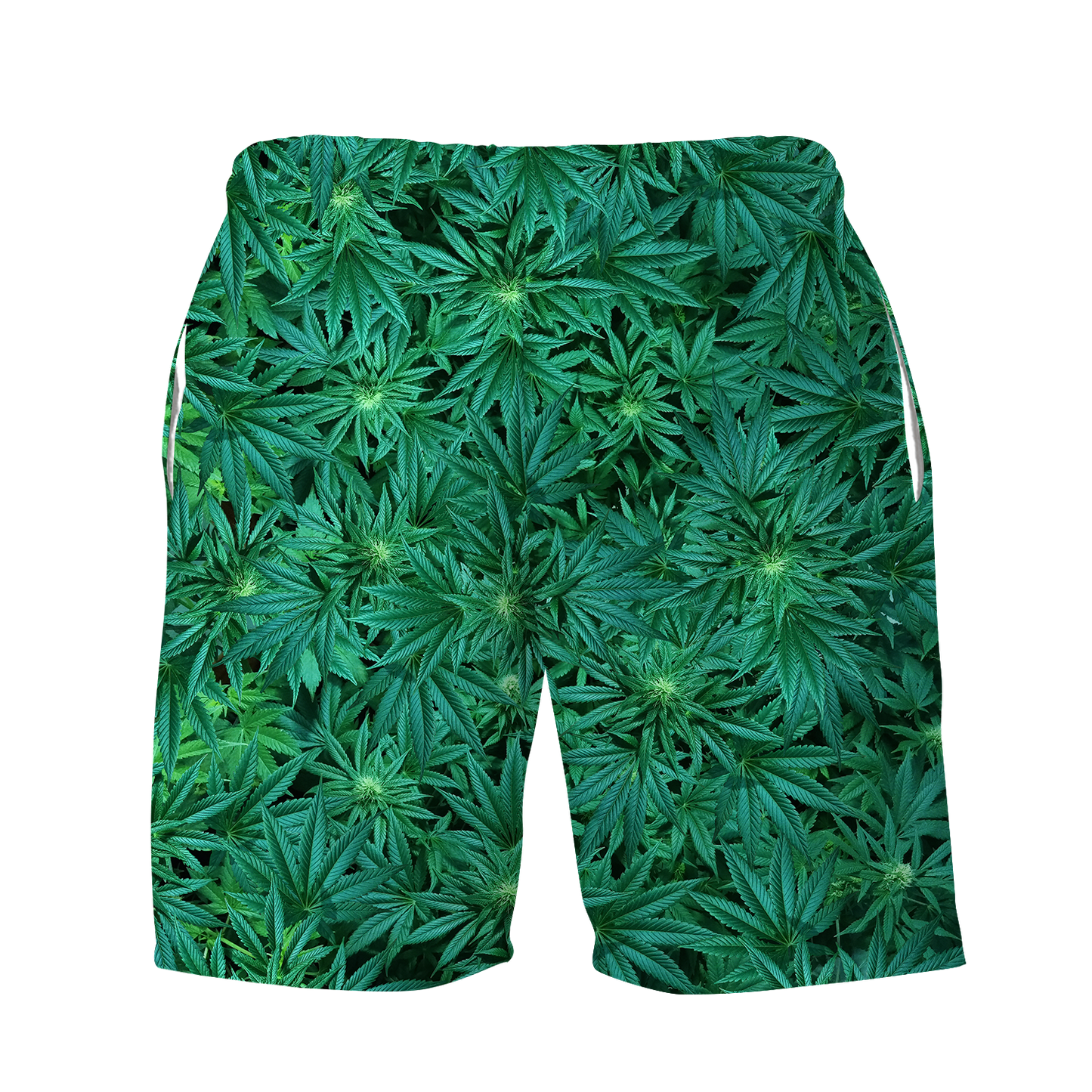 Cann~ All Over Print Men's Shorts