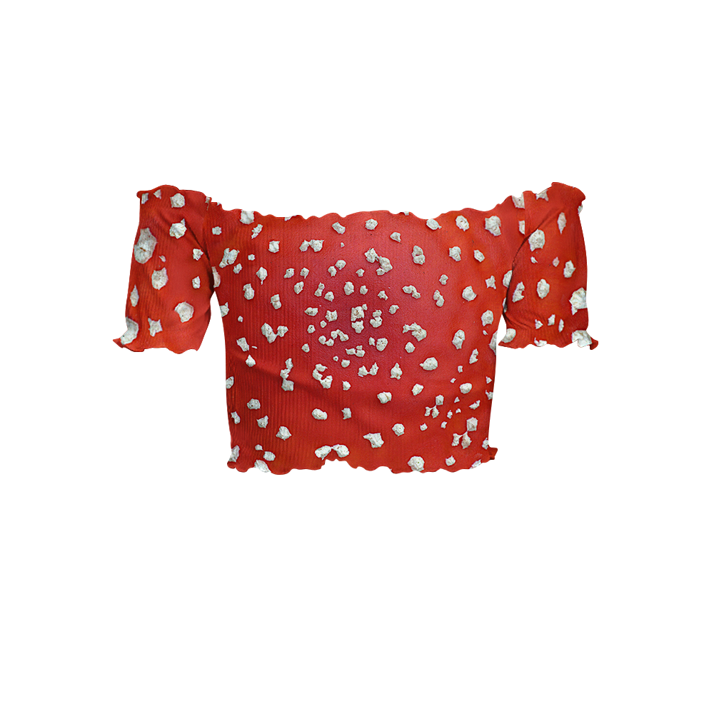 Fly Agaric - Amanita All Over Print Off-Shoulder Blouse