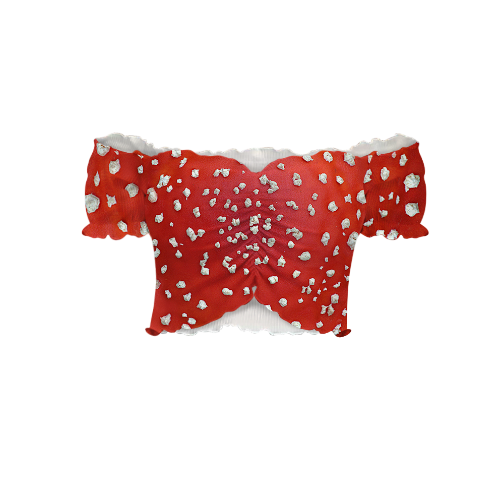 Fly Agaric - Amanita All Over Print Off-Shoulder Blouse