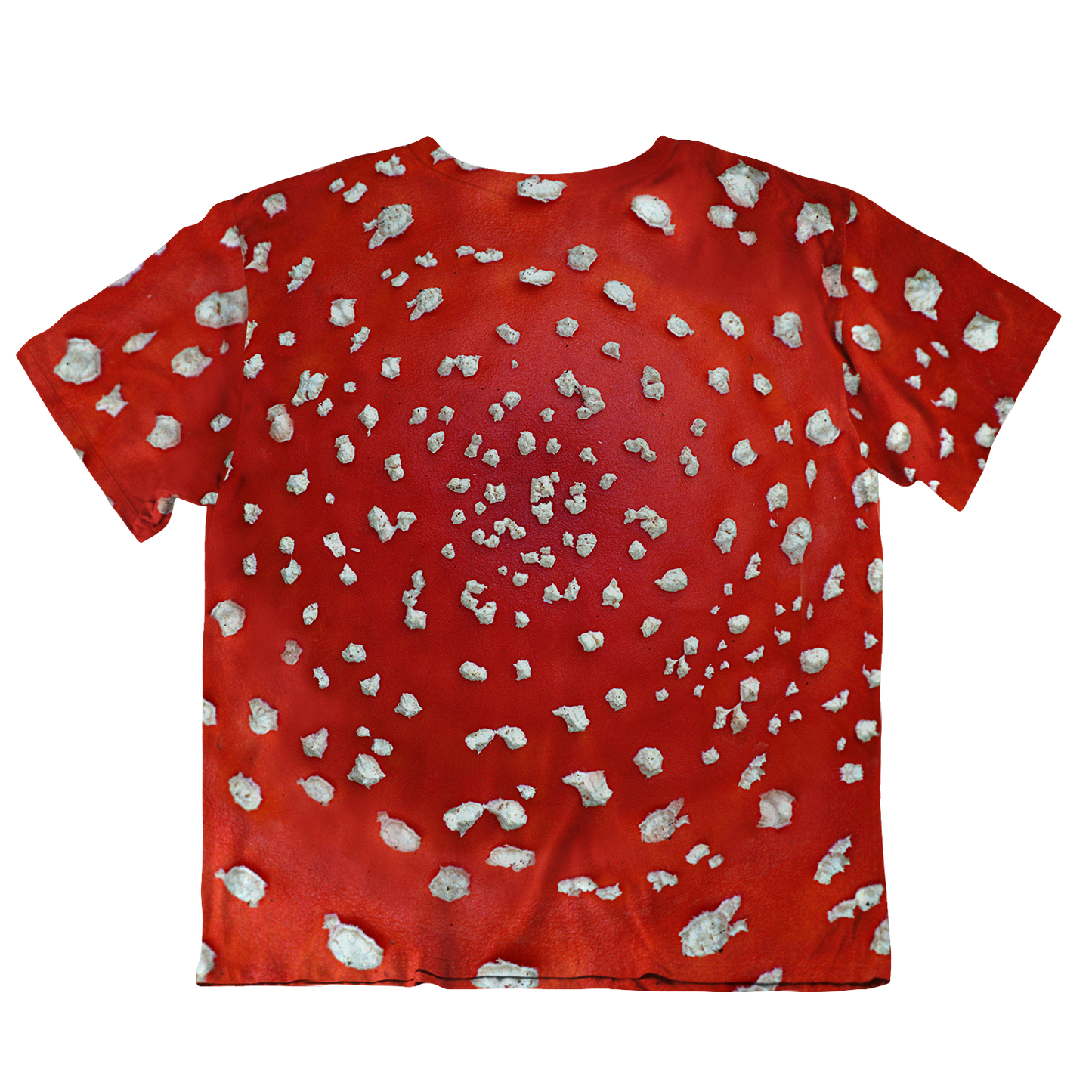 Fly Agaric - Amanita All Over Print Oversized Tee