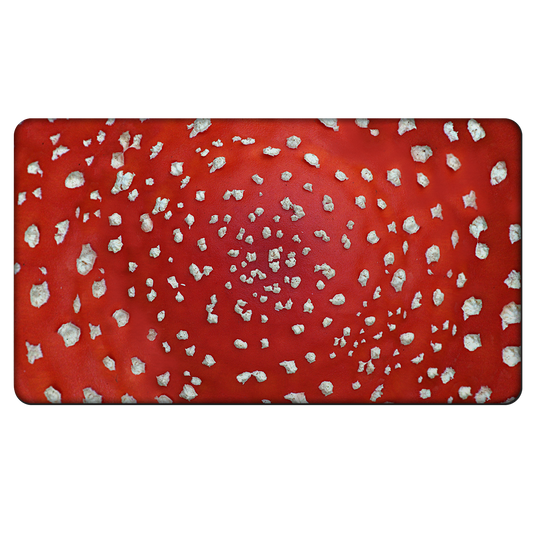 Fly Agaric - Amanita Rubber Door Mat