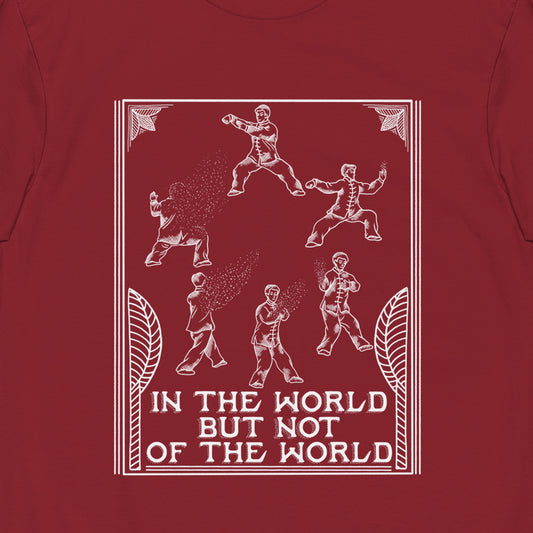 In The World But Not Of The World Premium Graphic Tee