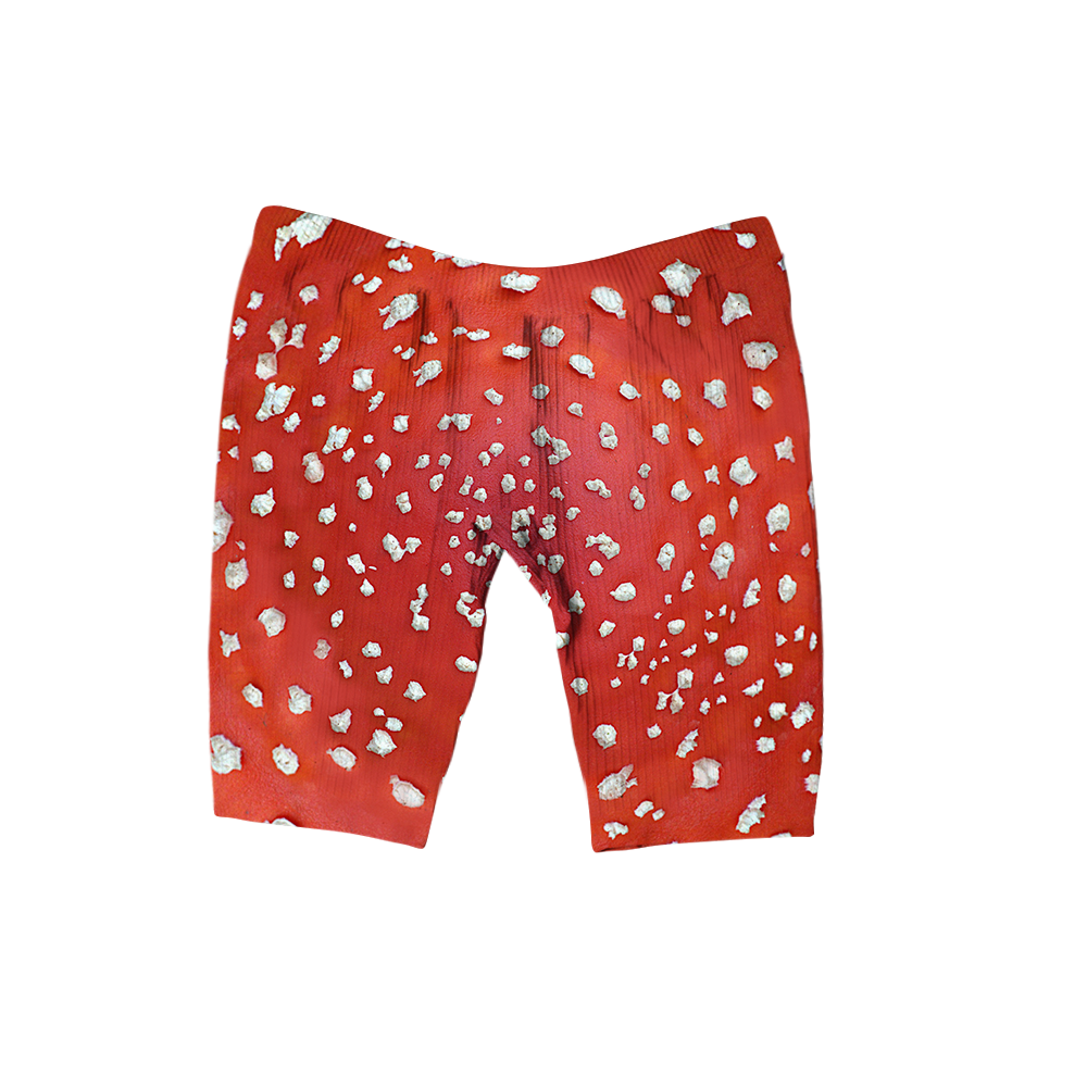 Fly Agaric - Amanita All Over Print Women's Ribbed Shorts