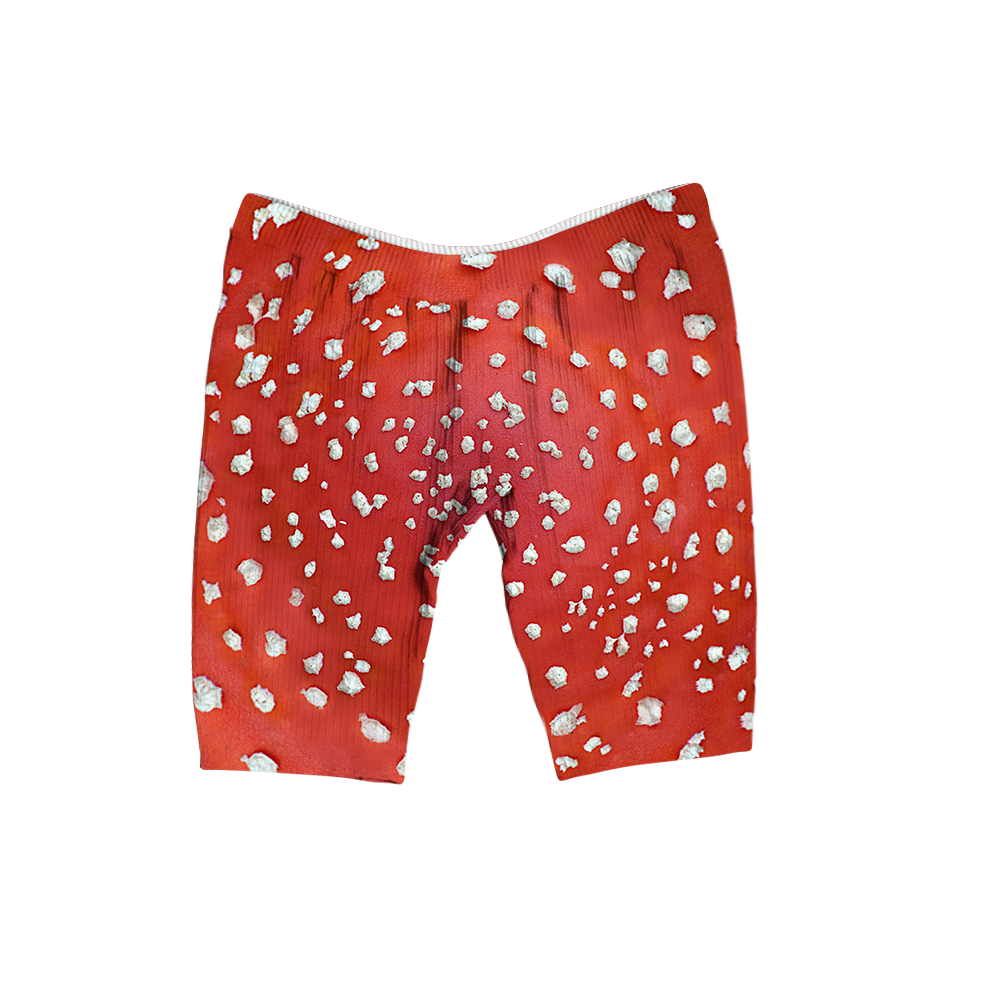 Fly Agaric - Amanita All Over Print Women's Ribbed Shorts