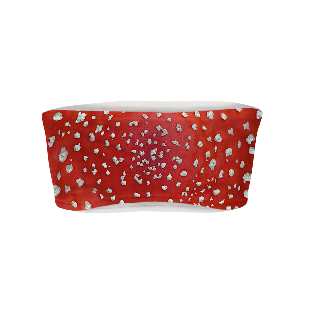 Fly Agaric - Amanita All Over Print Women's Tube Top