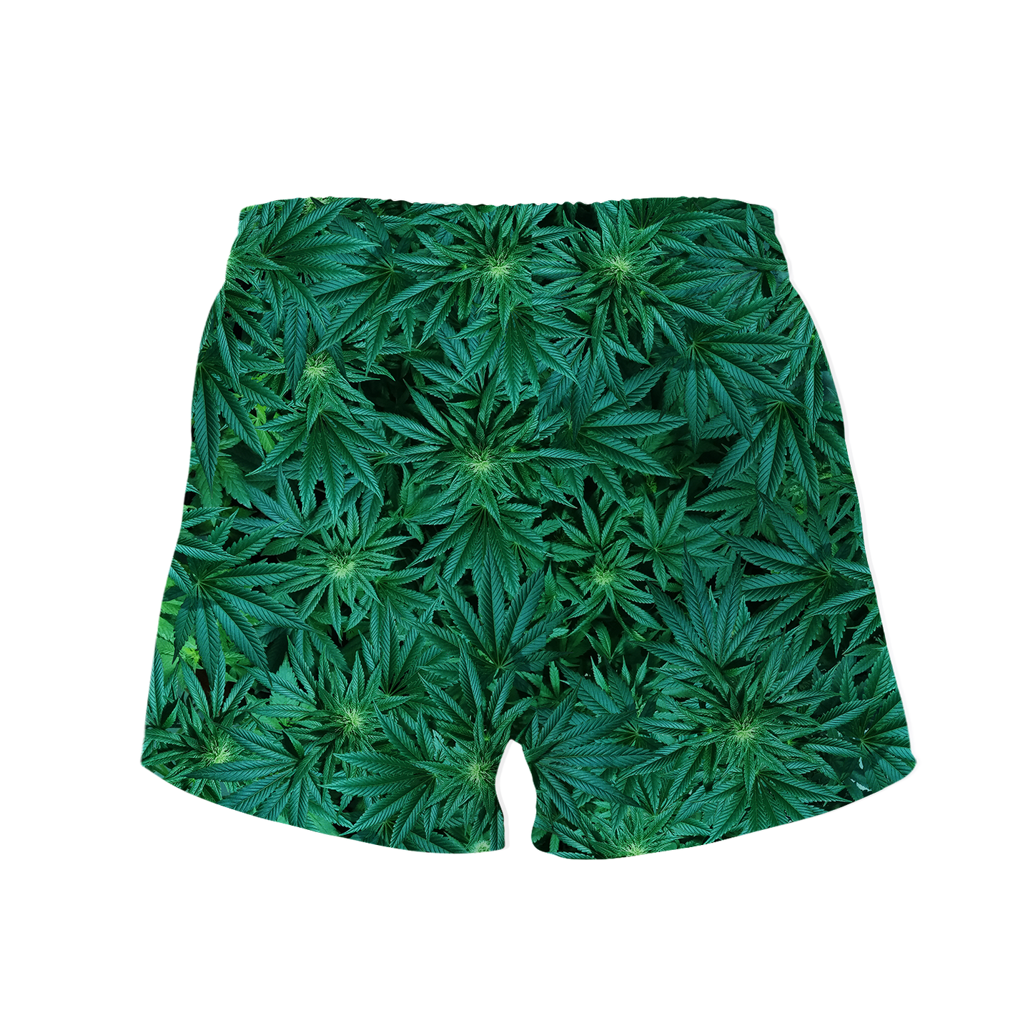Cann~ All Over Print Women's Shorts