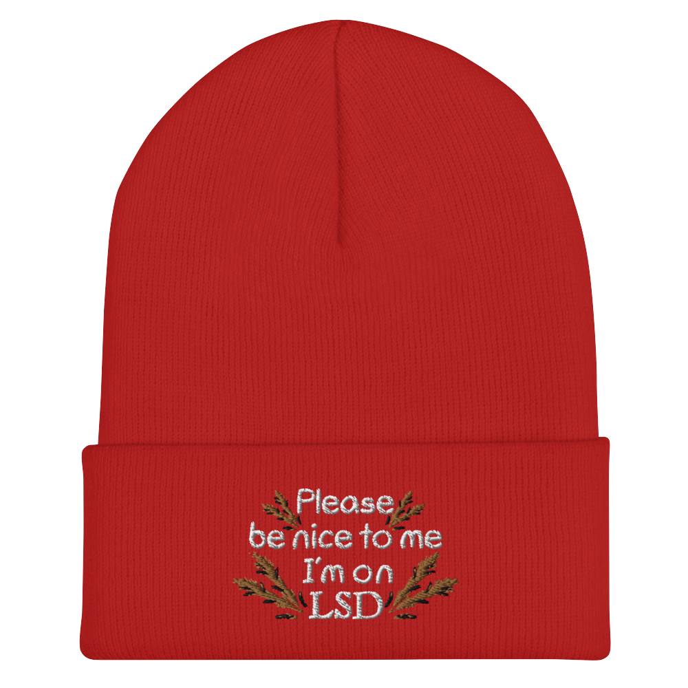 Please Be Nice To Me Beanie