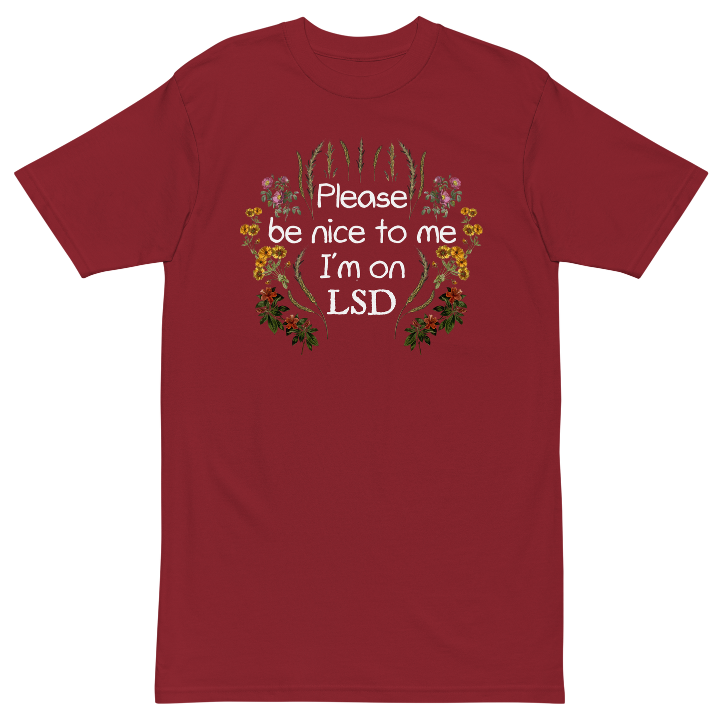 Please Be Nice To Me Premium Graphic Tee