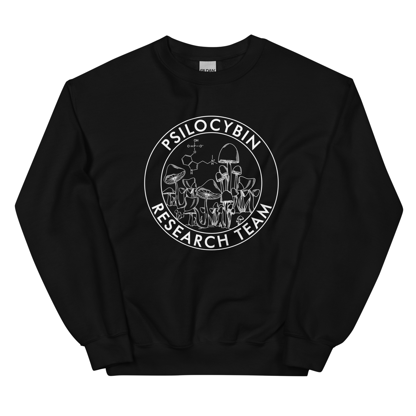 Research Team Graphic Sweatshirt