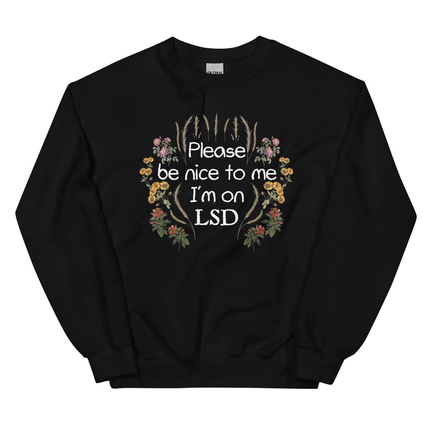 Please Be Nice To Me Graphic Sweatshirt