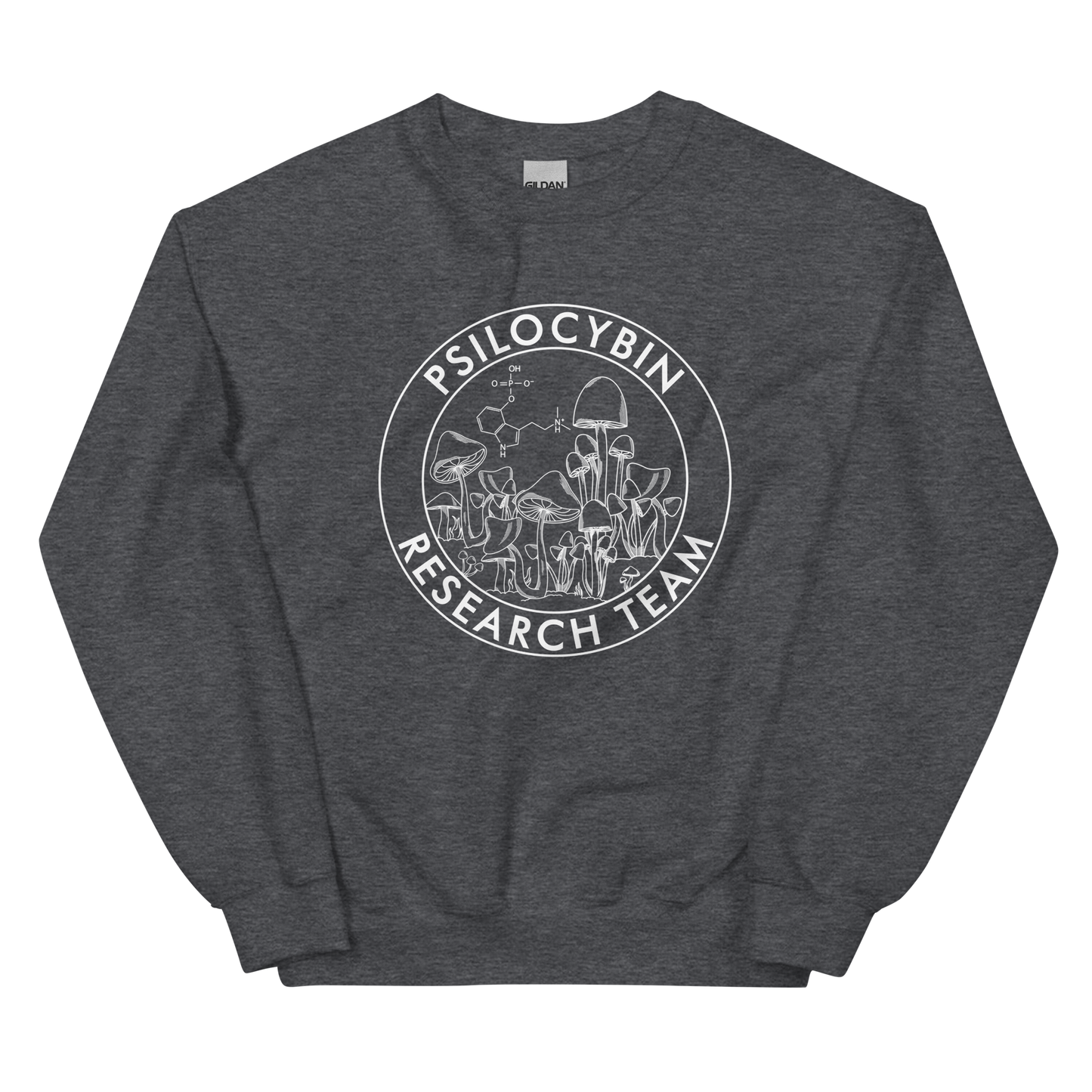 Research Team Graphic Sweatshirt