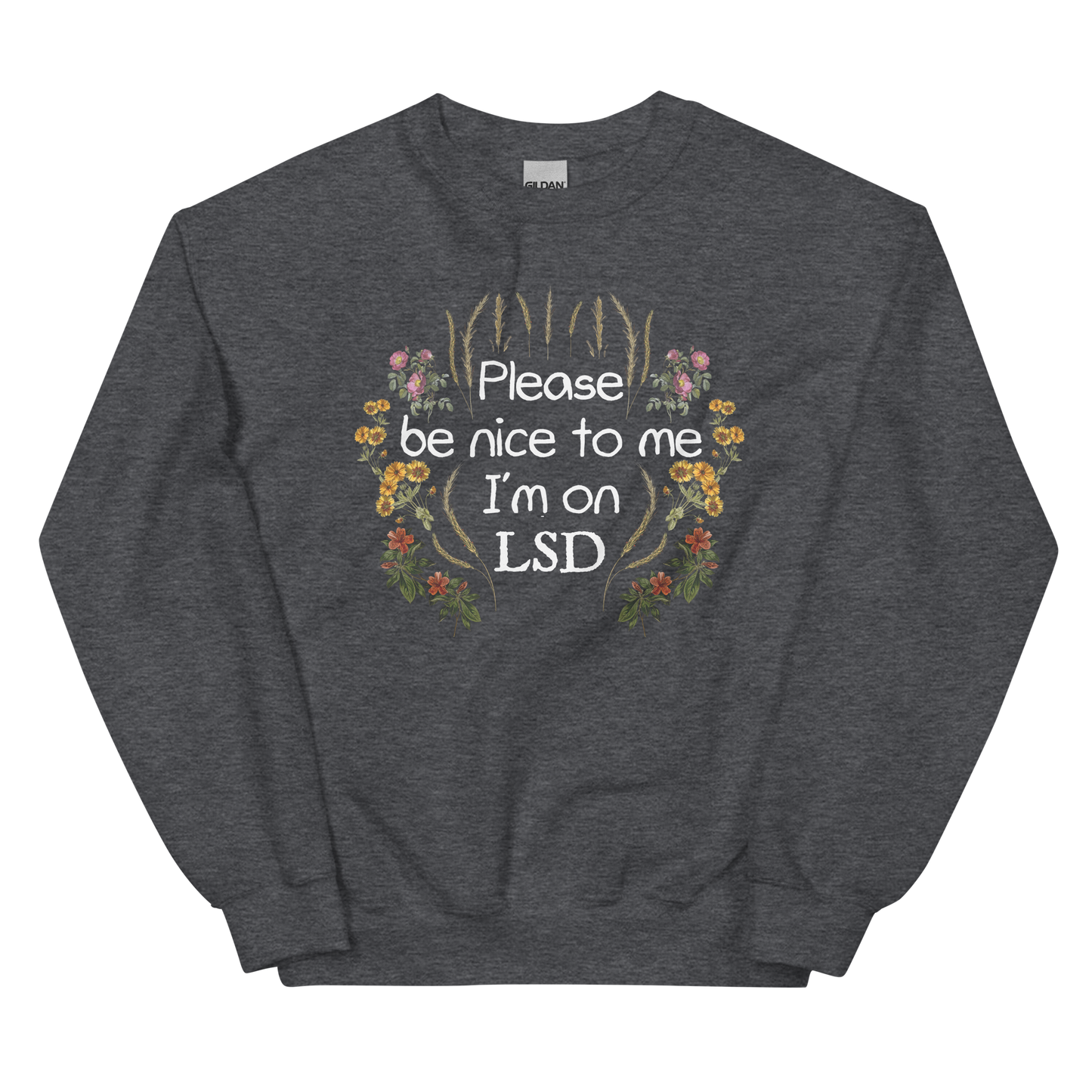 Please Be Nice To Me Graphic Sweatshirt