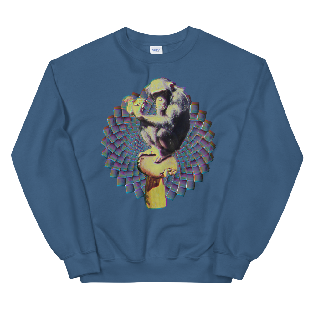 Psi~ Ape Graphic Sweatshirt