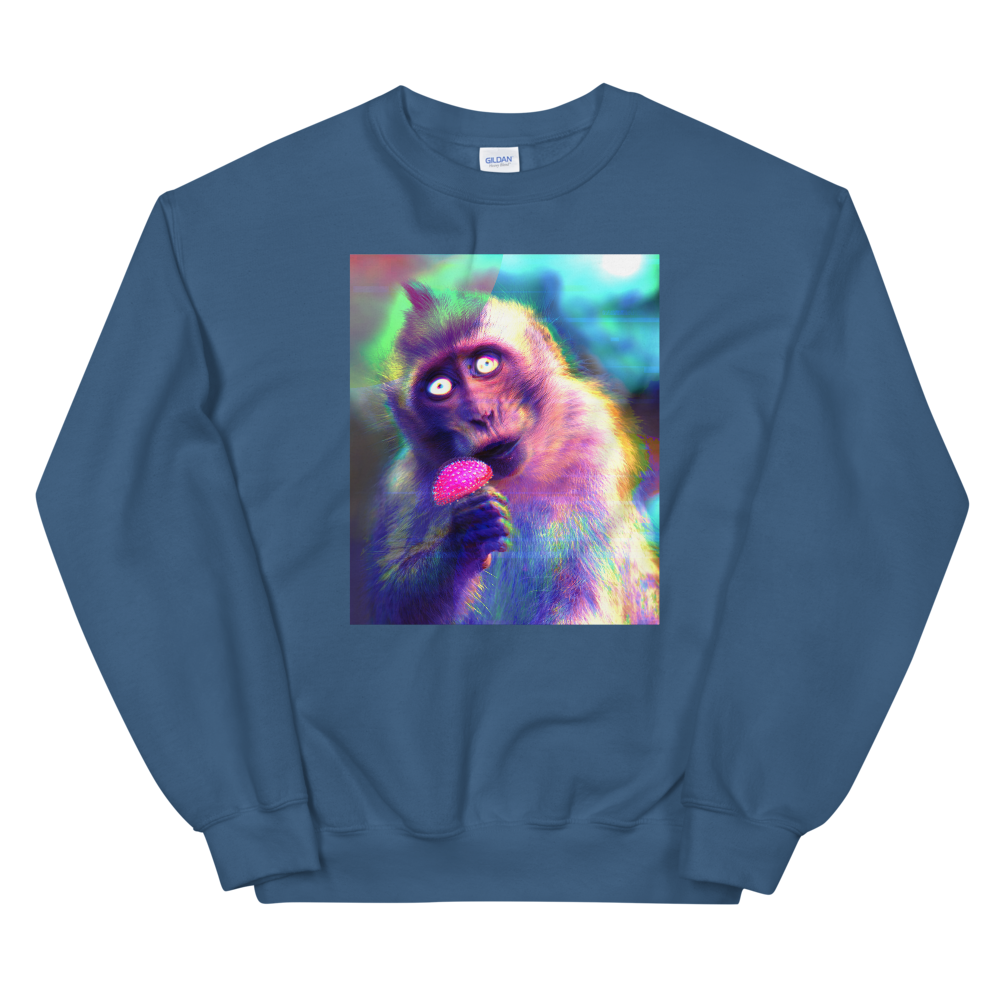 Ape Glitch Graphic Sweatshirt