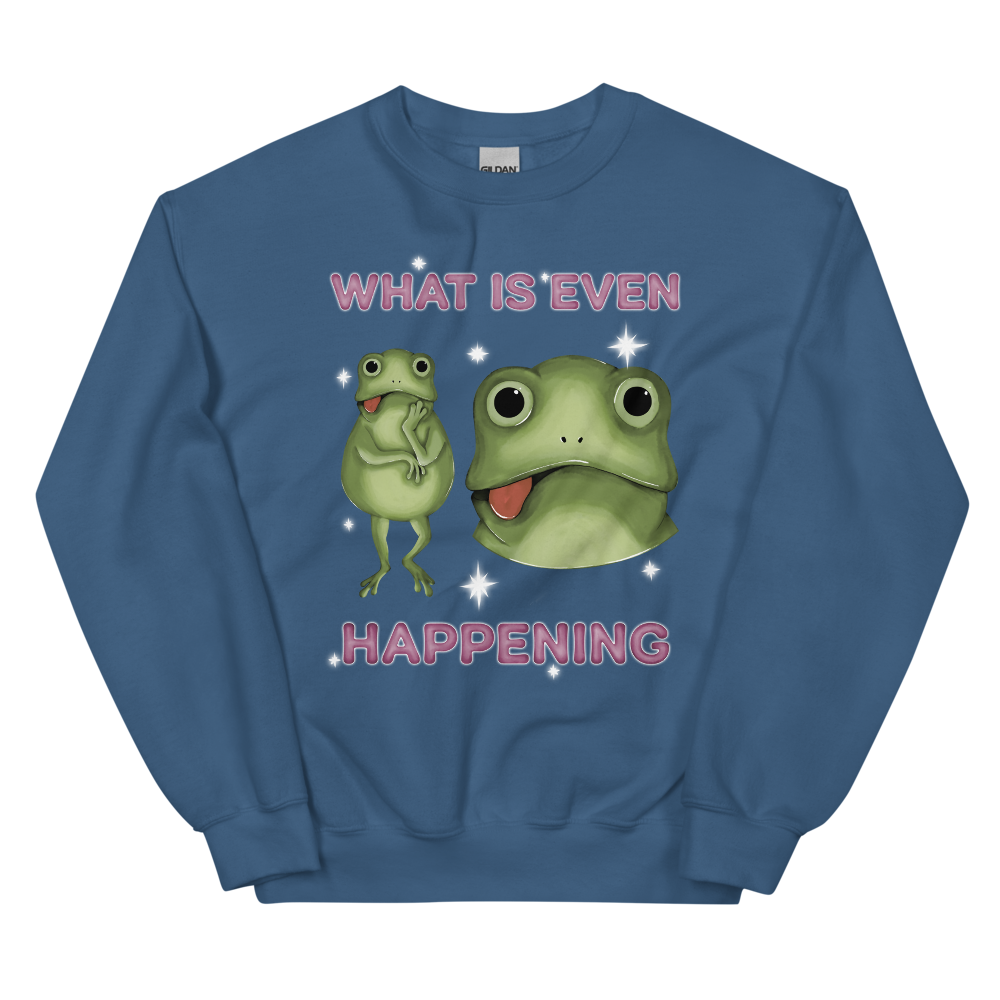 What Is Even Happening Graphic Sweatshirt