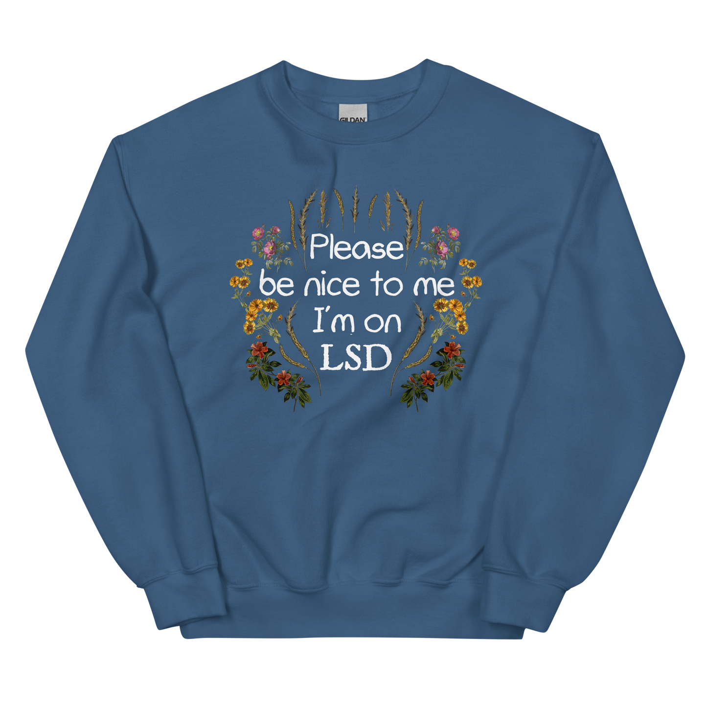 Please Be Nice To Me Graphic Sweatshirt