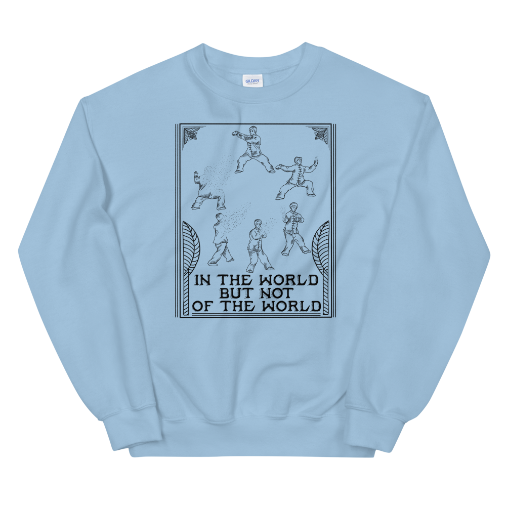 In The World But Not Of The World Graphic Sweatshirt