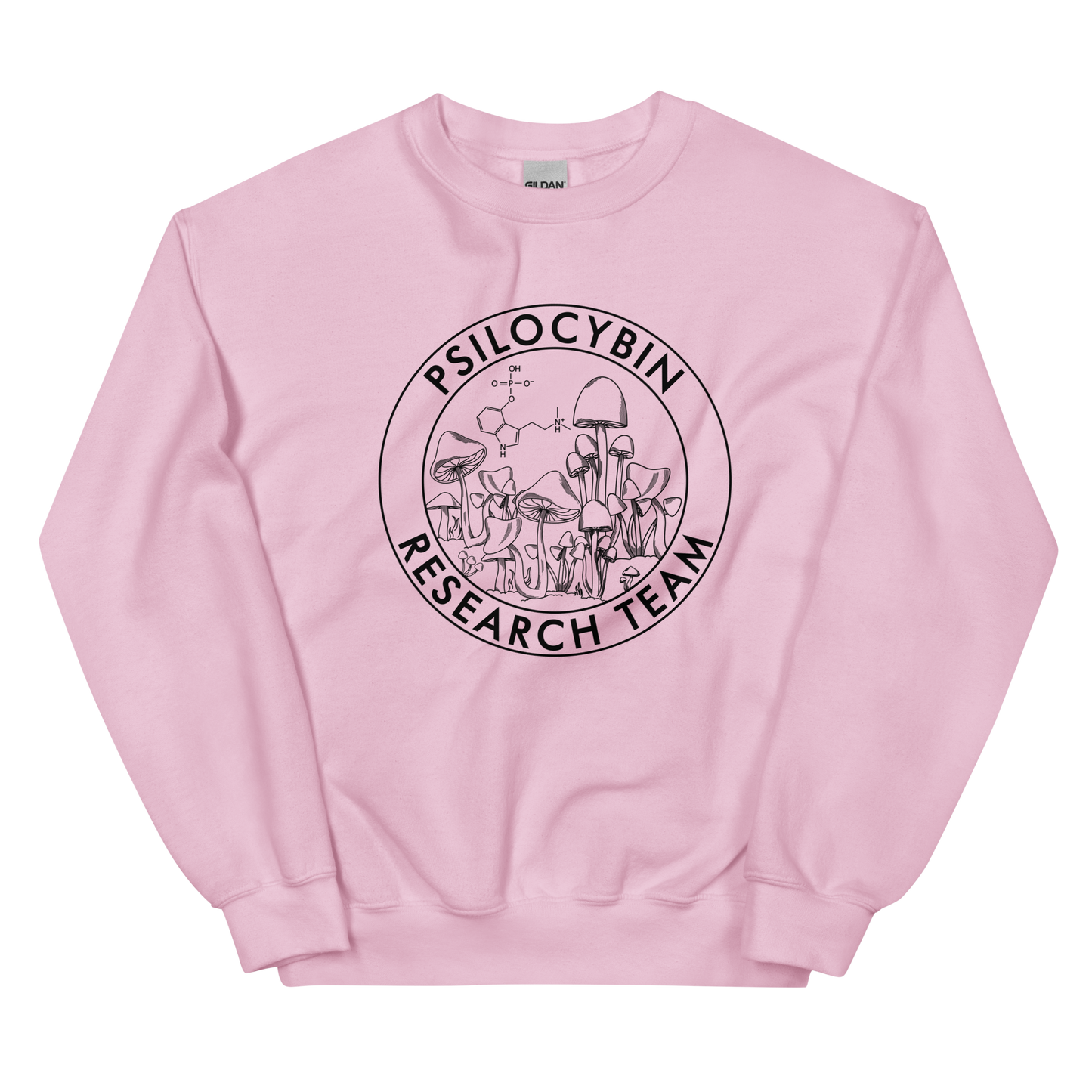 Research Team Graphic Sweatshirt