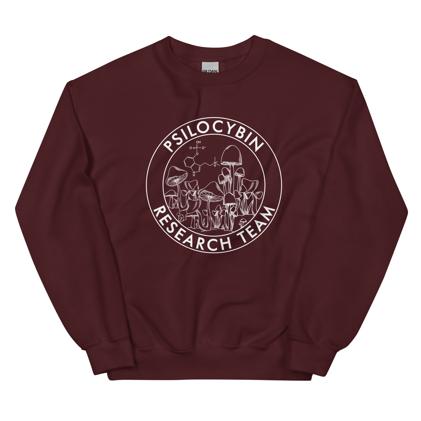 Research Team Graphic Sweatshirt