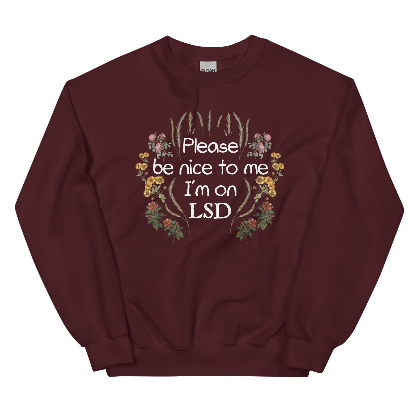 Please Be Nice To Me Graphic Sweatshirt