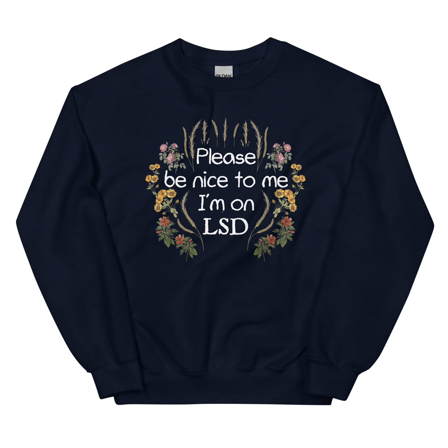 Please Be Nice To Me Graphic Sweatshirt