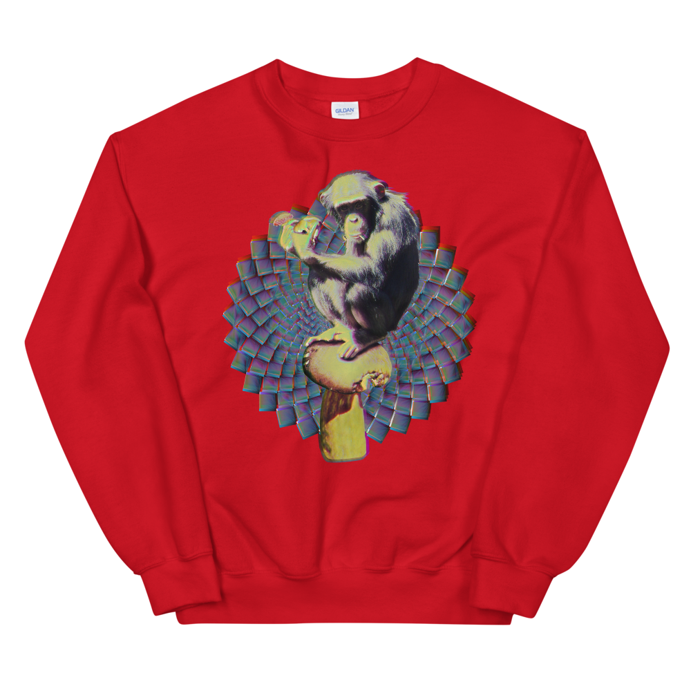 Psi~ Ape Graphic Sweatshirt