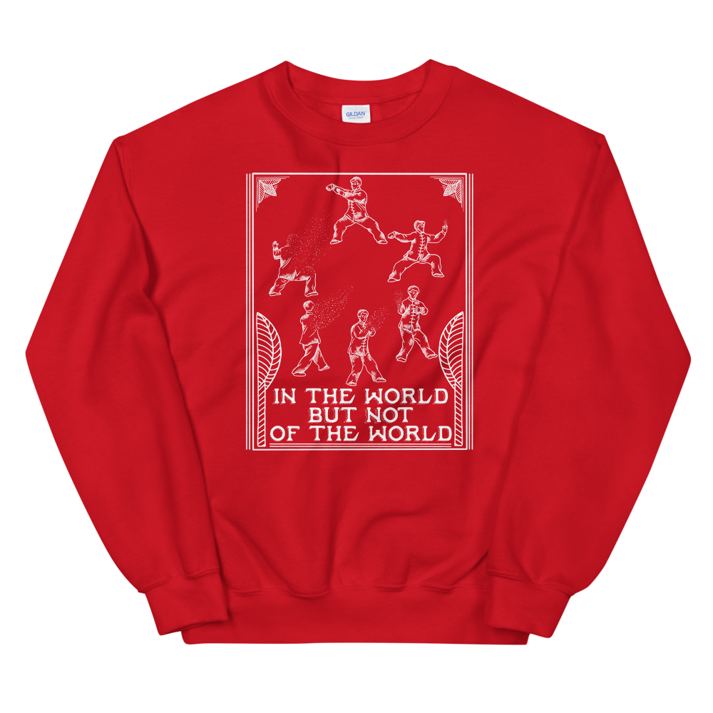 In The World But Not Of The World Graphic Sweatshirt