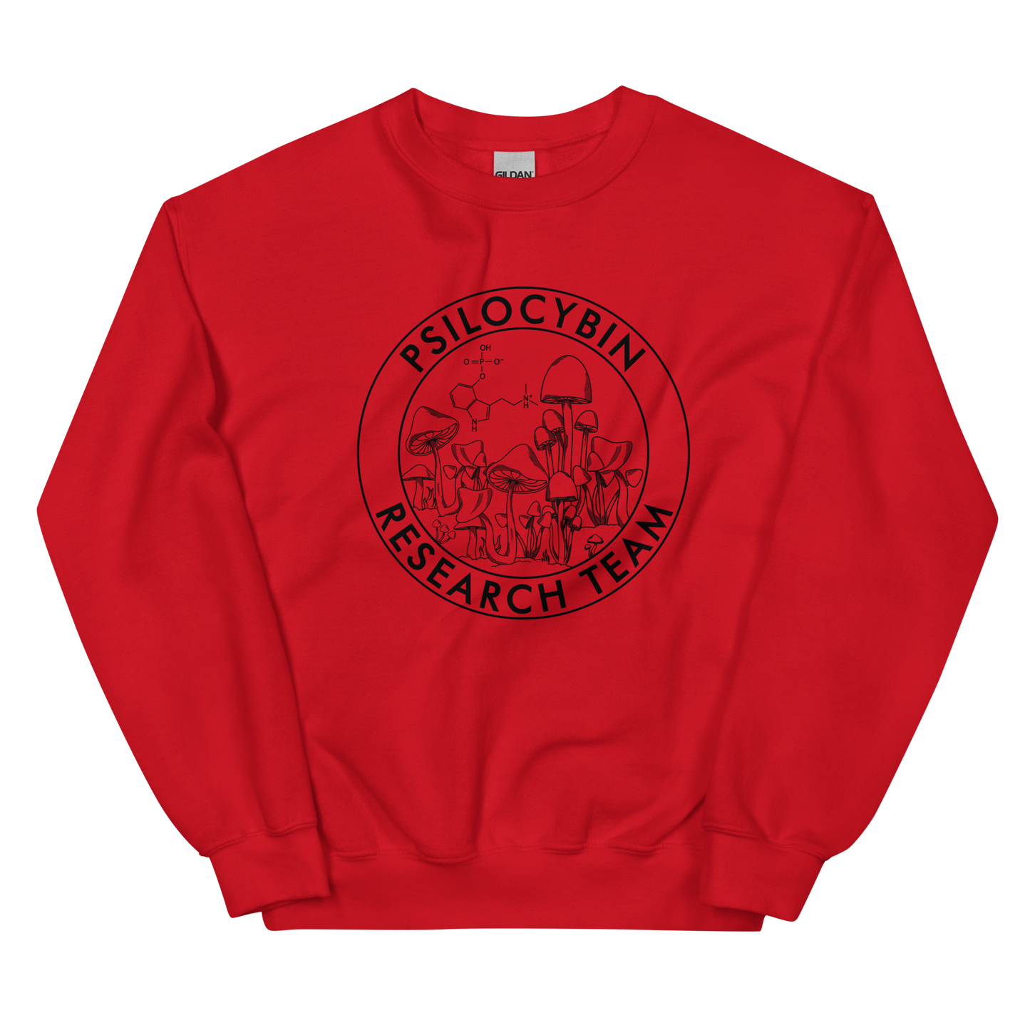 Research Team Graphic Sweatshirt