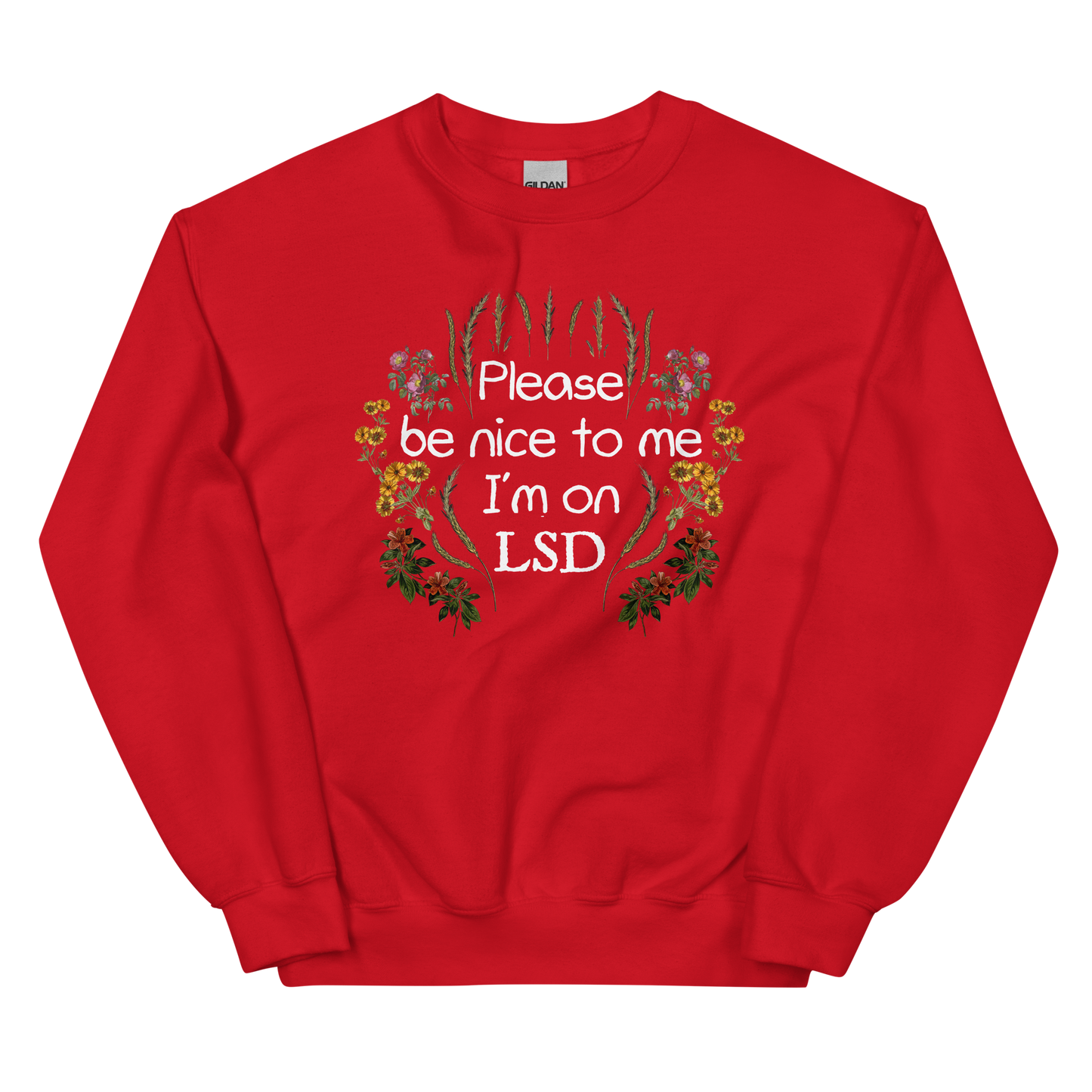 Please Be Nice To Me Graphic Sweatshirt