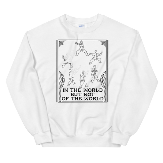 In The World But Not Of The World Graphic Sweatshirt