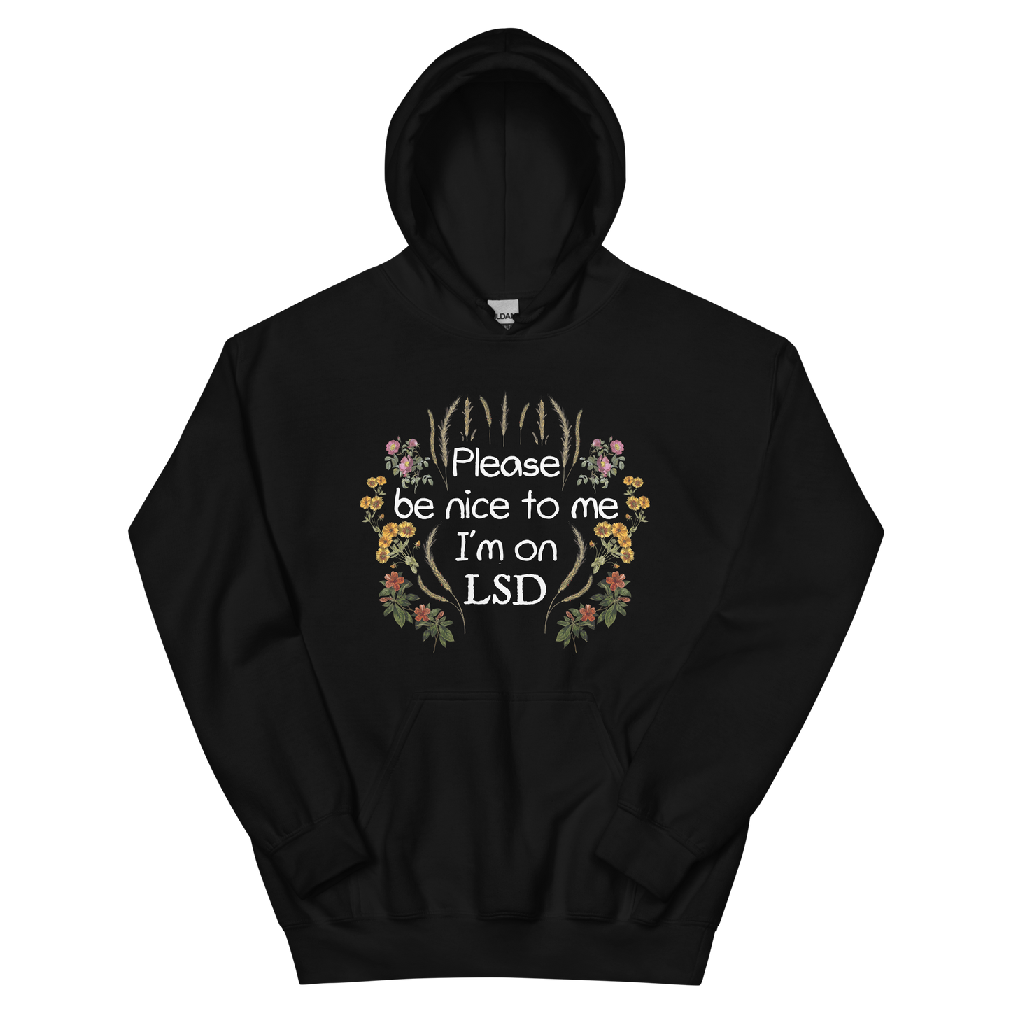 Please Be Nice To Me Graphic Hoodie