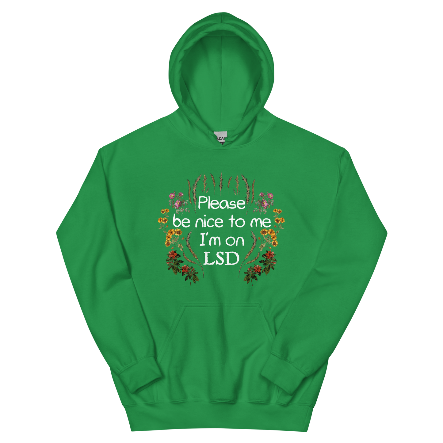 Please Be Nice To Me Graphic Hoodie