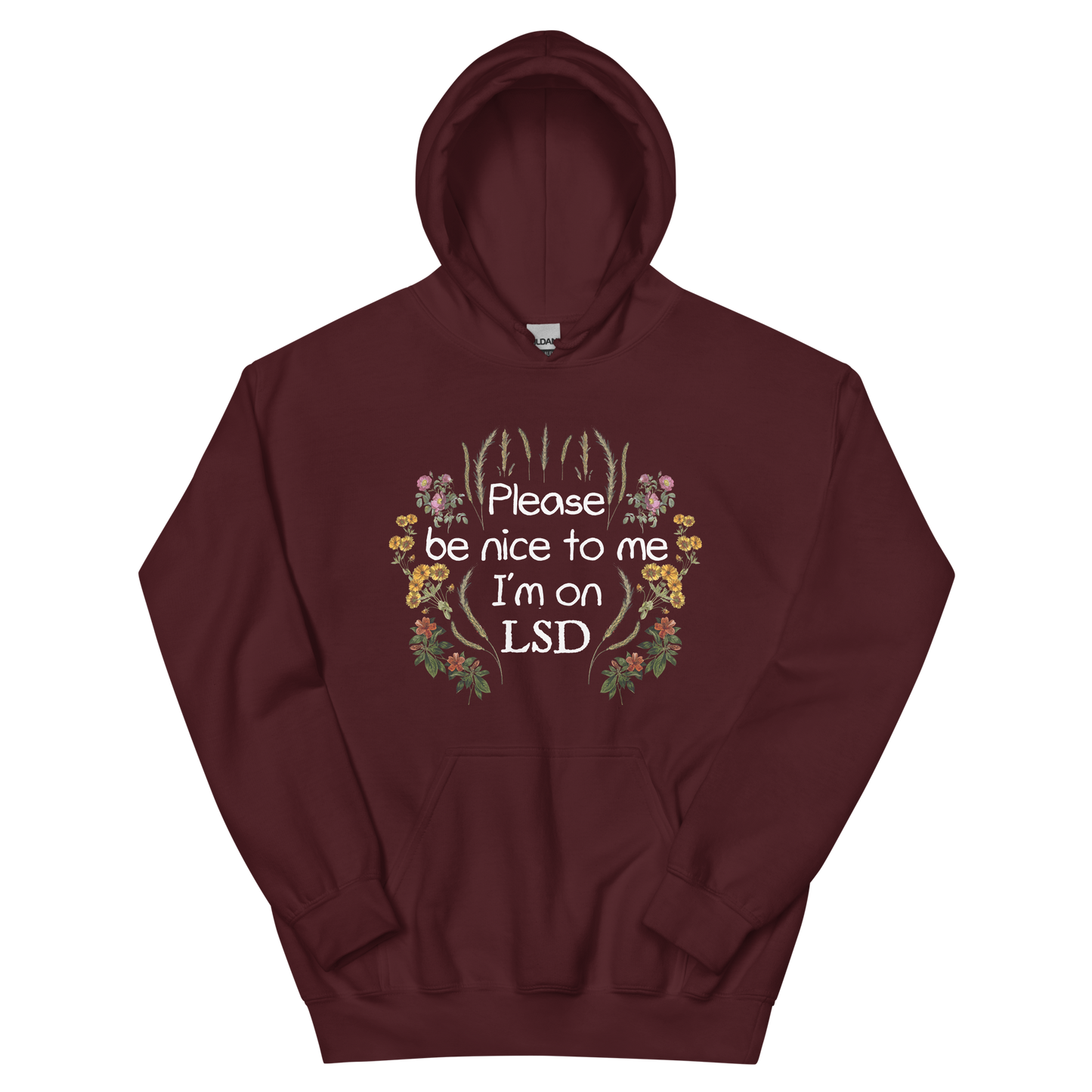 Please Be Nice To Me Graphic Hoodie