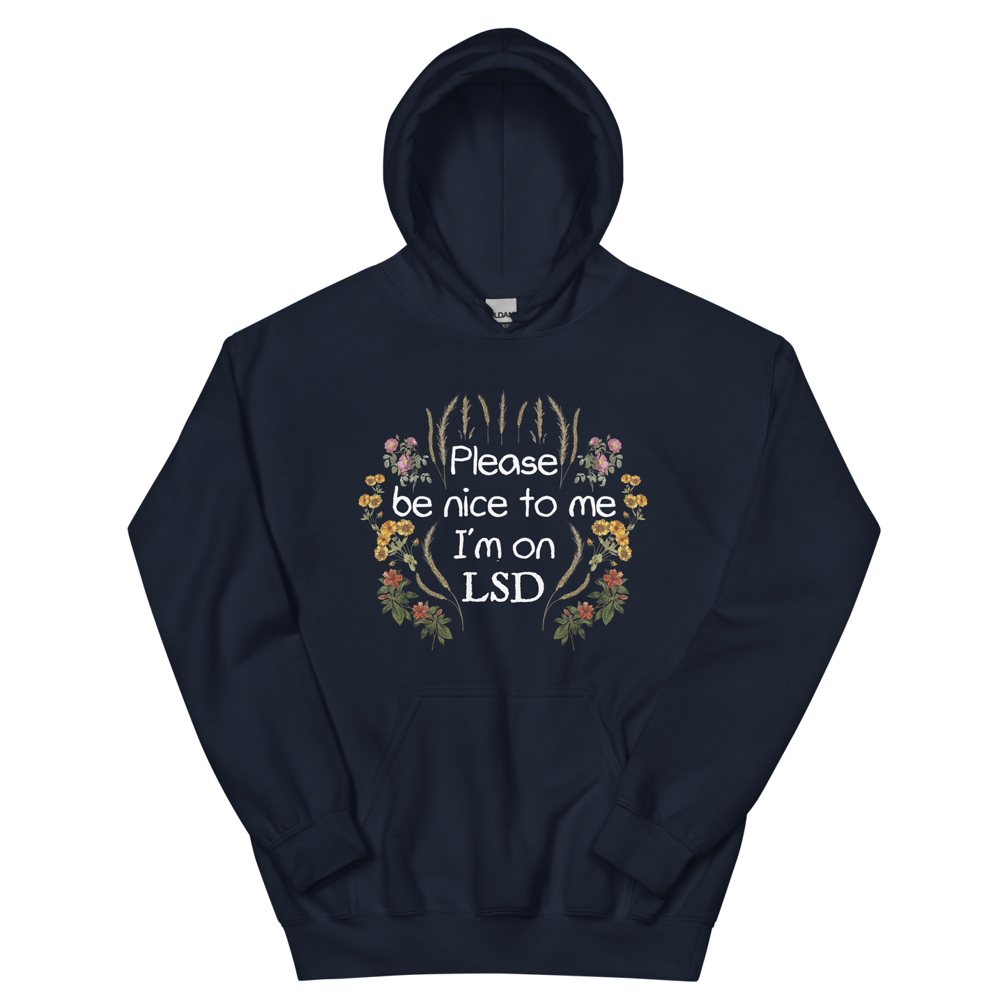 Please Be Nice To Me Graphic Hoodie