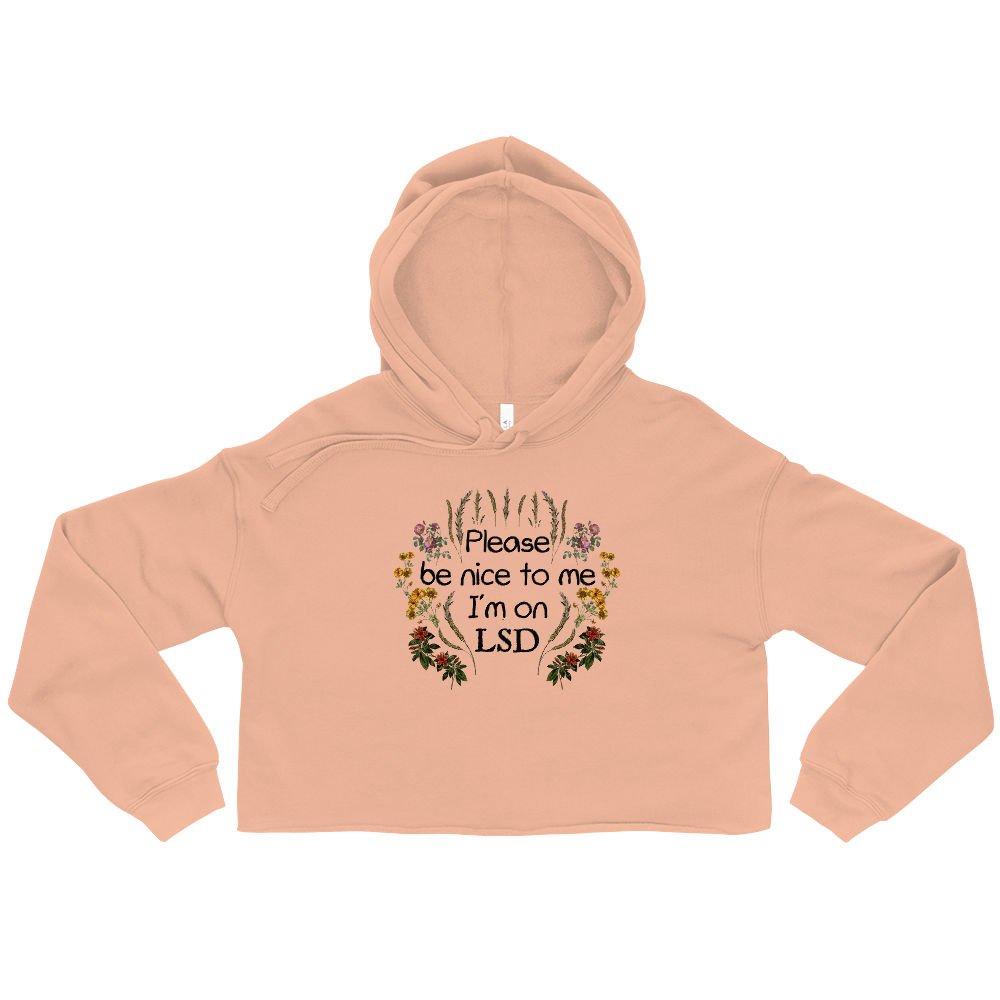 Please Be Nice To Me Graphic Crop Hoodie