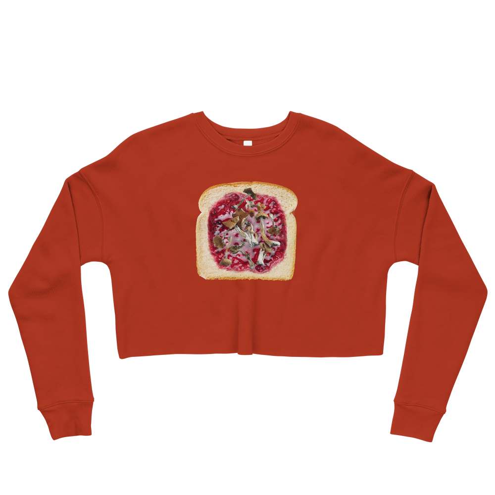 This Shroom Beach fleece cropped sweatshirt is the way to go to look fashionable while feeling perfectly comfy.